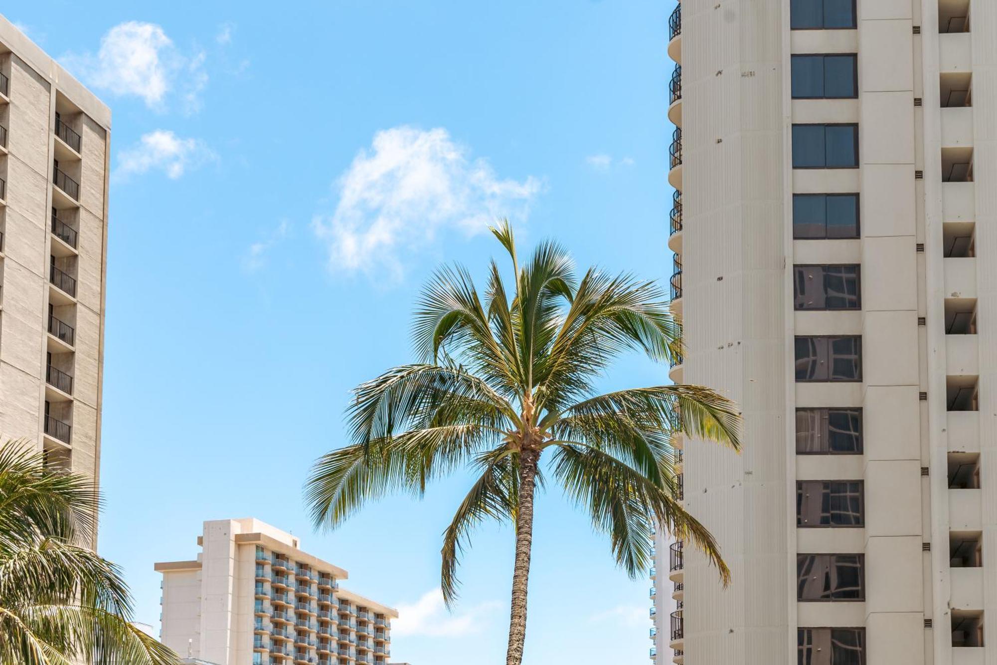 Diamond Head View Condo, Steps To Beach & Free Parking! Honolulu Exterior photo